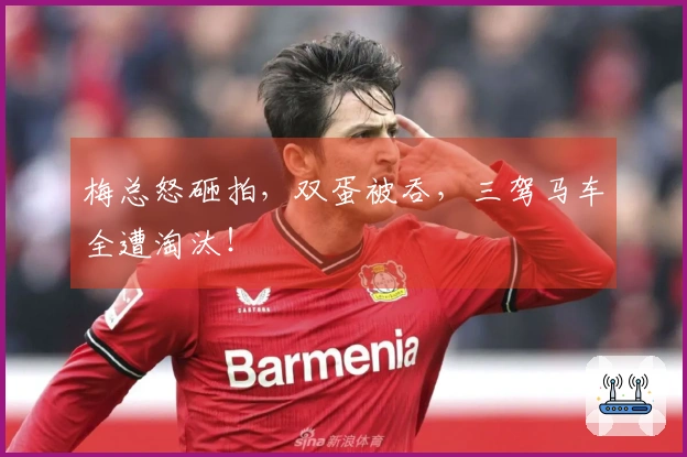 梅总怒砸拍，双蛋被吞，三驾马车全遭淘汰！
