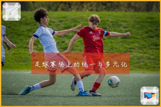 足球赛场上的统一与多元化