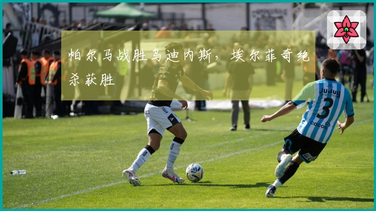 帕尔马战胜乌迪内斯，埃尔菲奇绝杀获胜