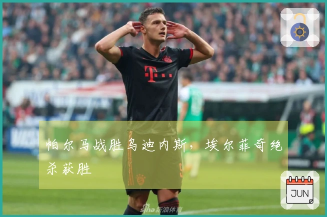 帕尔马战胜乌迪内斯，埃尔菲奇绝杀获胜